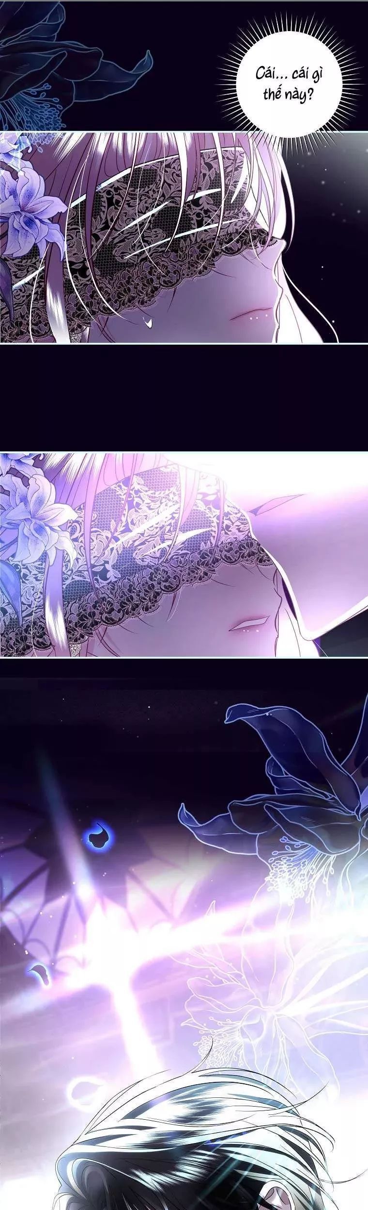 Phản Diện À, Tôi Sẽ Làm Mọi Thứ Cho Anh Trừ Kết Hôn Nhé! Chap 40 - Next Chap 39