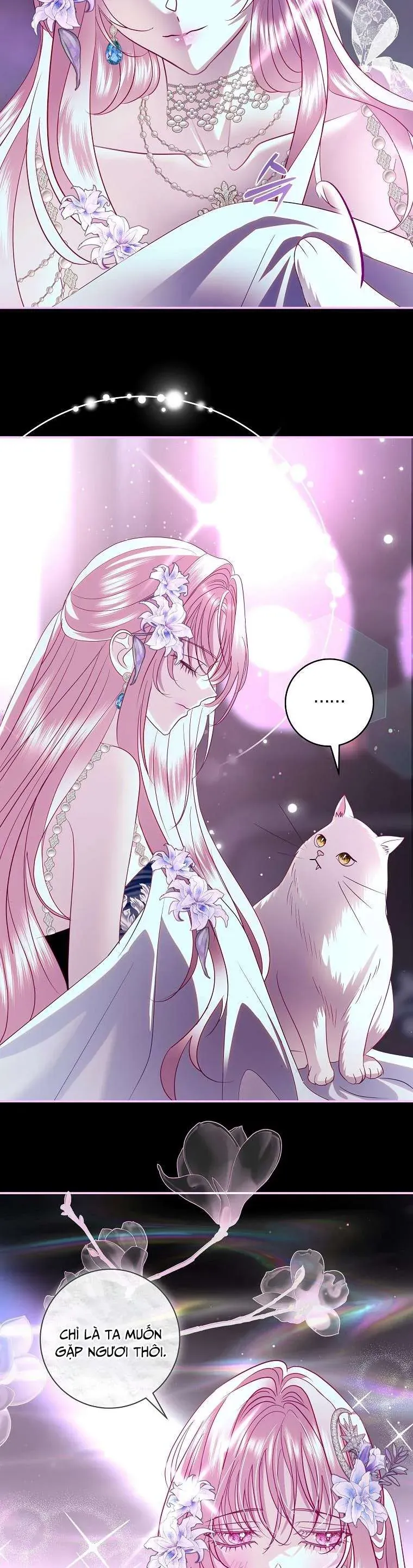 Phản Diện À, Tôi Sẽ Làm Mọi Thứ Cho Anh Trừ Kết Hôn Nhé! Chap 41 - Next Chap 40