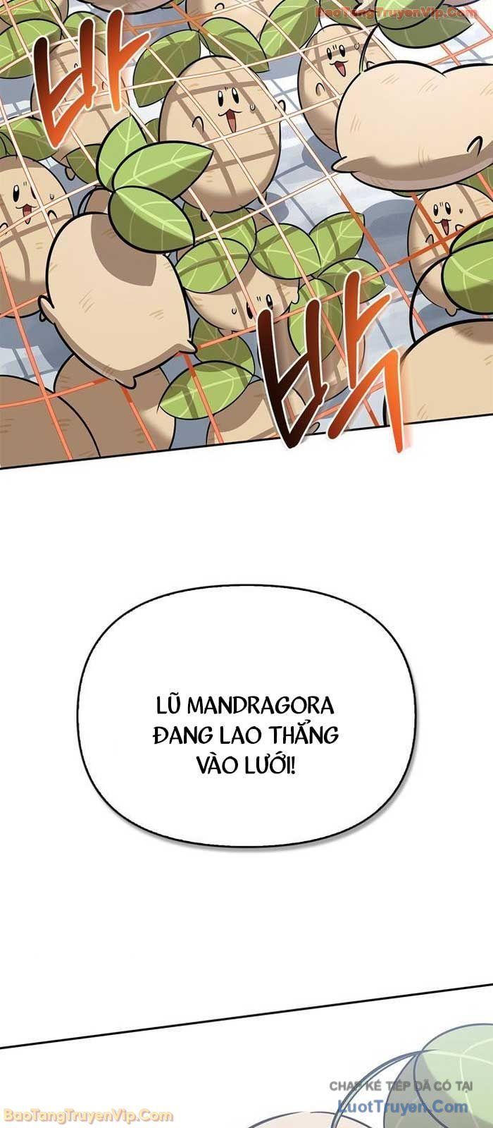 Healer Cấp S Chữa Trị Cho Quái Vật Chap 25 - Next Chap 24