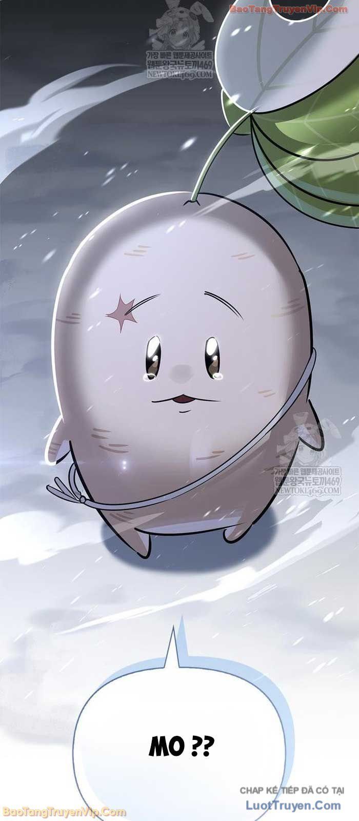 Healer Cấp S Chữa Trị Cho Quái Vật Chap 25 - Next Chap 24