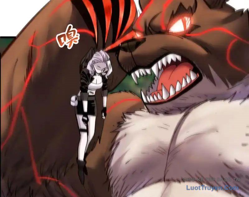 Tôi Dùng Hệ Thống Đỉnh Cấp Tái Tạo Thế Giới