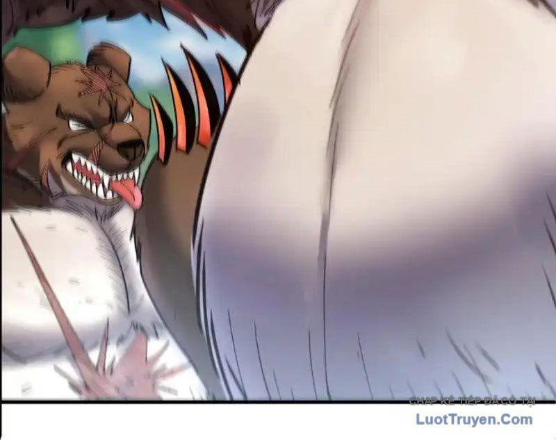 Tôi Dùng Hệ Thống Đỉnh Cấp Tái Tạo Thế Giới