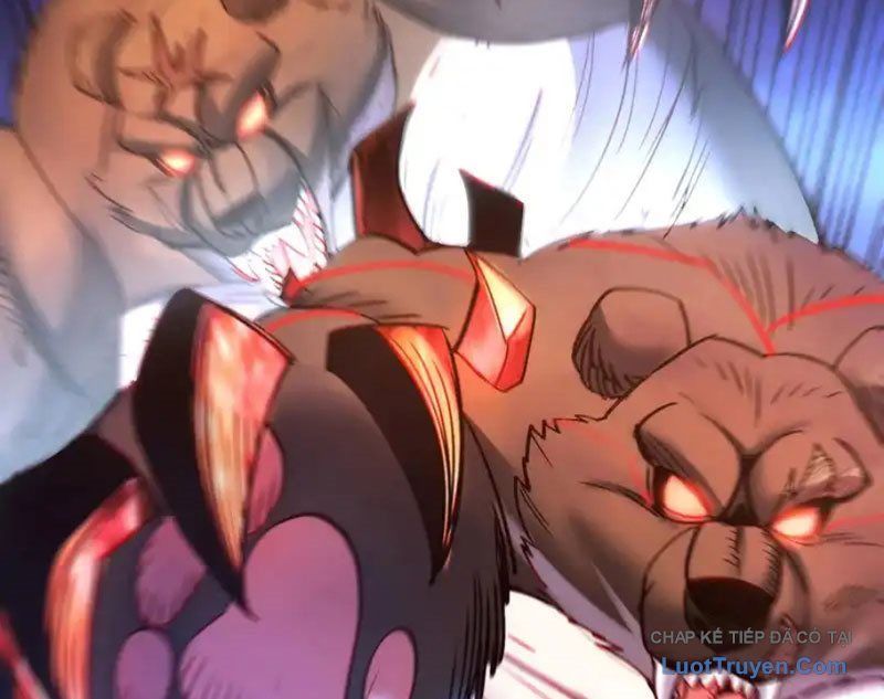 Tôi Dùng Hệ Thống Đỉnh Cấp Tái Tạo Thế Giới