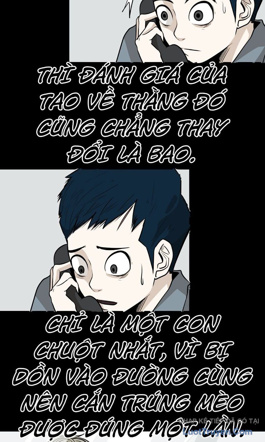 Trang 15 - Shark - Cá Mập