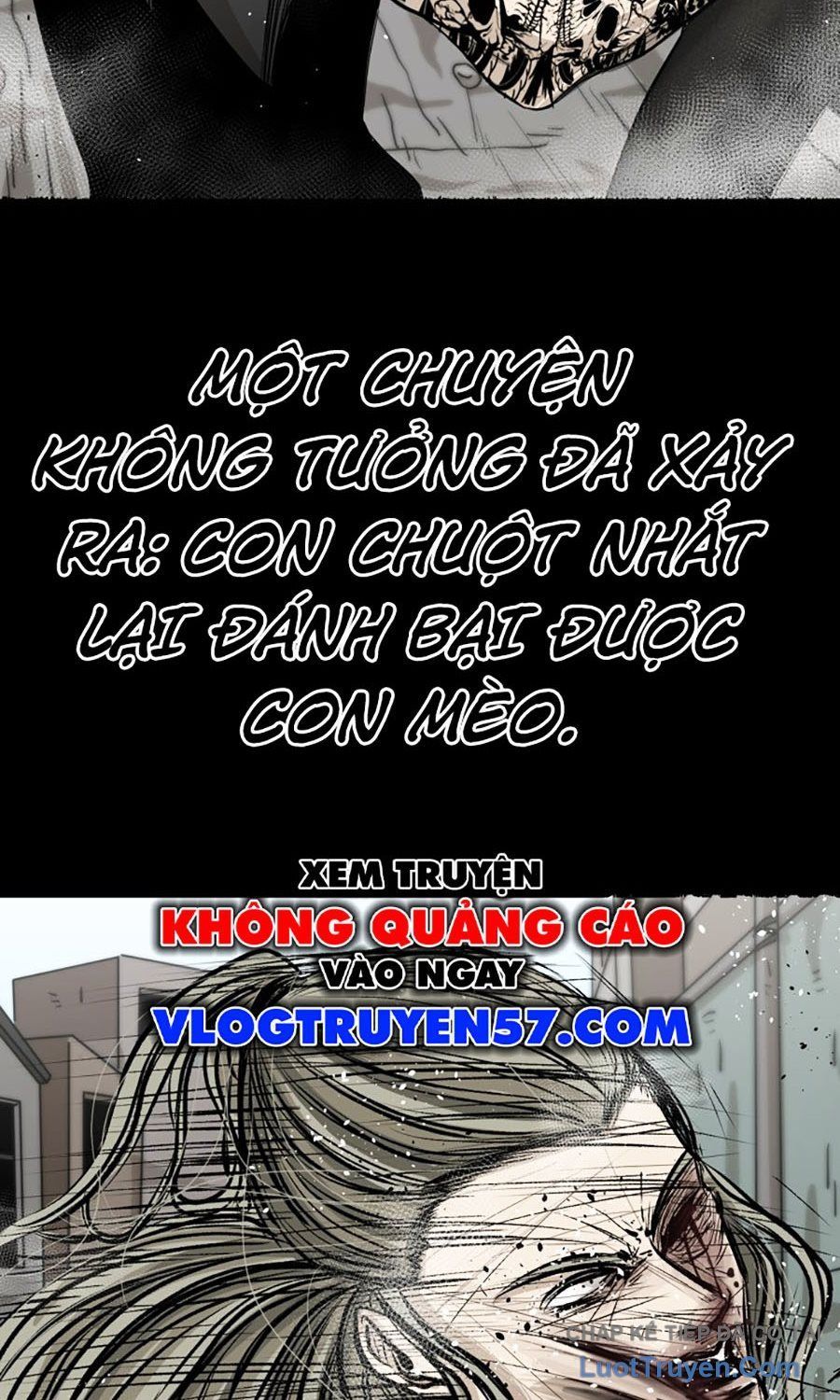 Trang 18 - Shark - Cá Mập