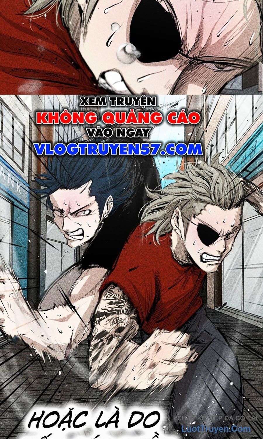 Trang 26 - Shark - Cá Mập