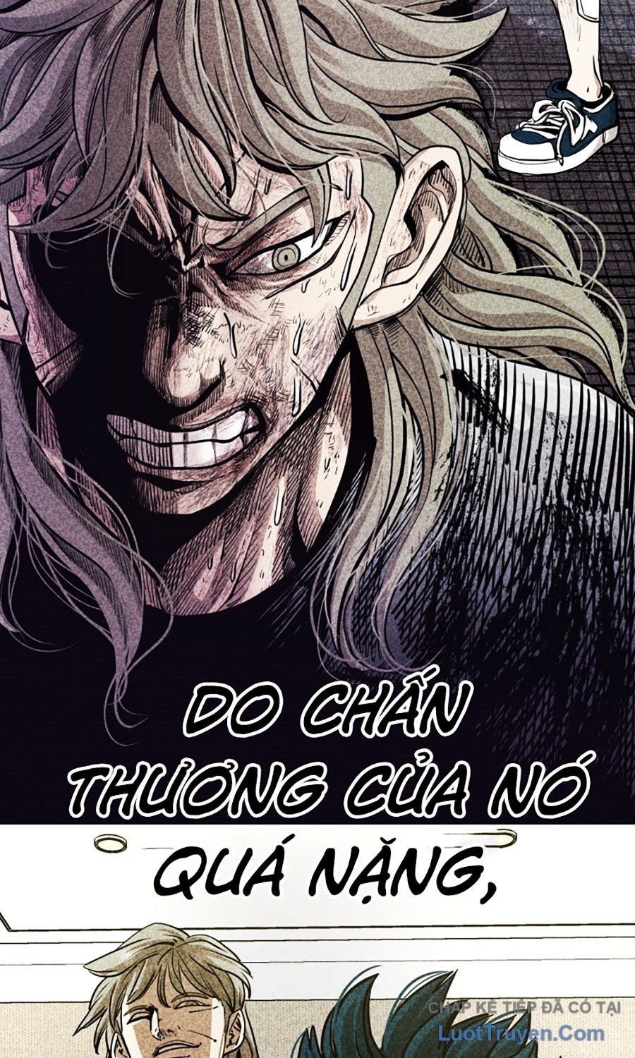 Trang 28 - Shark - Cá Mập