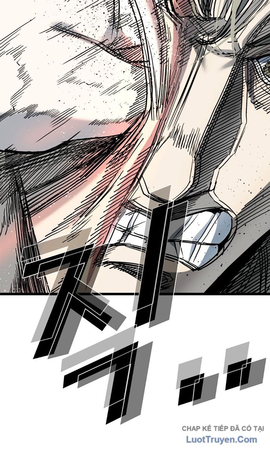 Trang 24 - Shark - Cá Mập