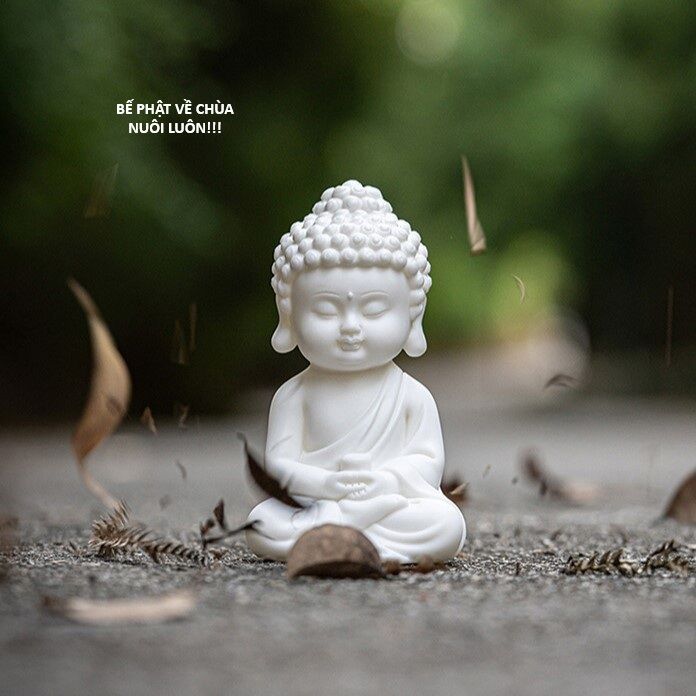 Ngay Cả Khi Hậu Tận Thế Thật Hạnh Phúc Khi Vẫn Còn Được Sống... (Puchimasu Miếu) [Chap 0.3-51.1]