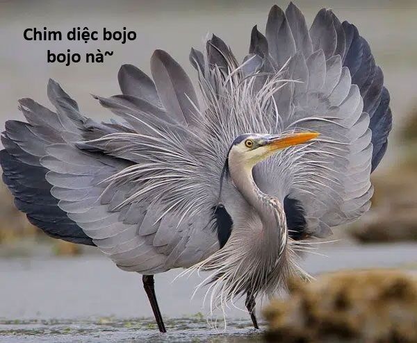 Ngay Cả Khi Hậu Tận Thế Thật Hạnh Phúc Khi Vẫn Còn Được Sống... (Puchimasu Miếu) [Chap 0.3-51.1]