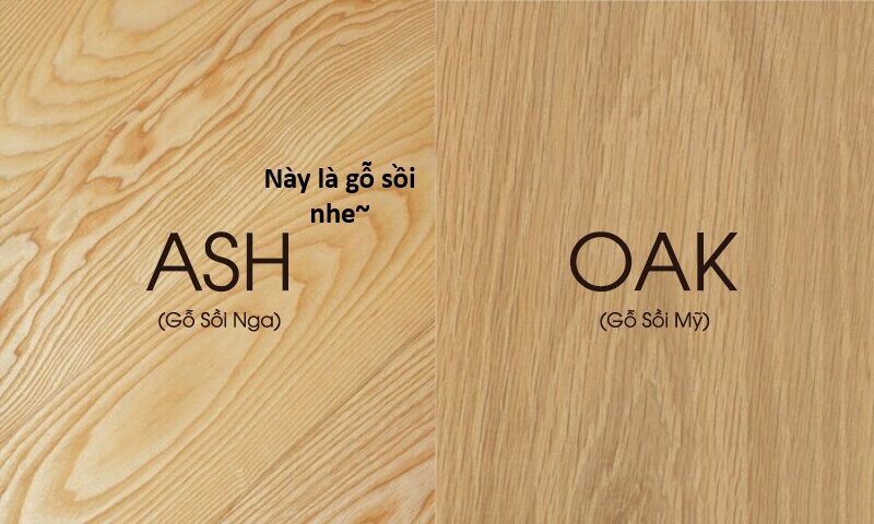 Ngay Cả Khi Hậu Tận Thế Thật Hạnh Phúc Khi Vẫn Còn Được Sống... (Puchimasu Miếu) [Chap 0.3-51.1]