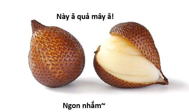 Ngay Cả Khi Hậu Tận Thế Thật Hạnh Phúc Khi Vẫn Còn Được Sống... (Puchimasu Miếu) [Chap 0.3-51.1]