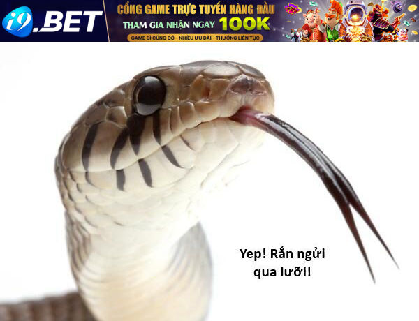 Ngay Cả Khi Hậu Tận Thế Thật Hạnh Phúc Khi Vẫn Còn Được Sống... (Puchimasu Miếu) [Chap 0.3-51.1]