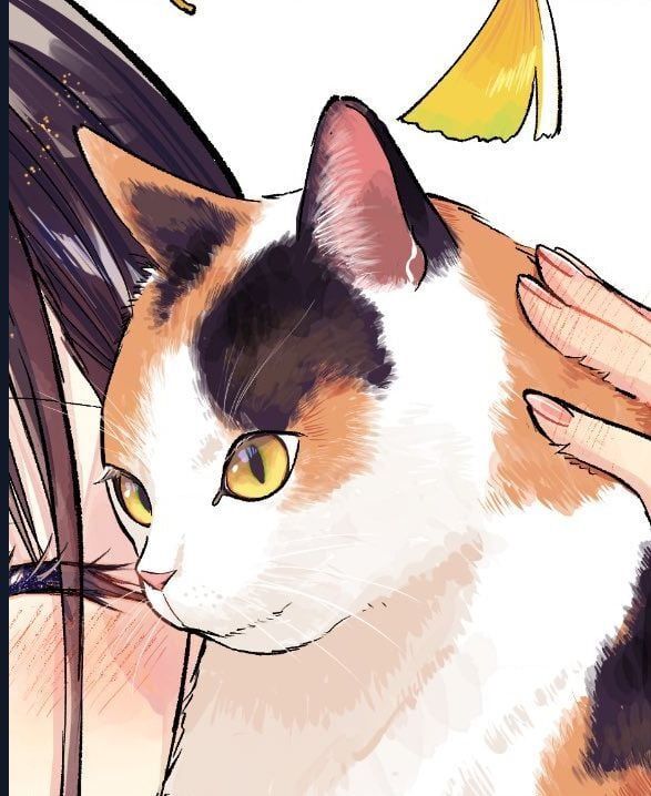 Cô nàng mèo ngủ gật và Chàng trai hướng nội Chapter 29 - TC Truyện