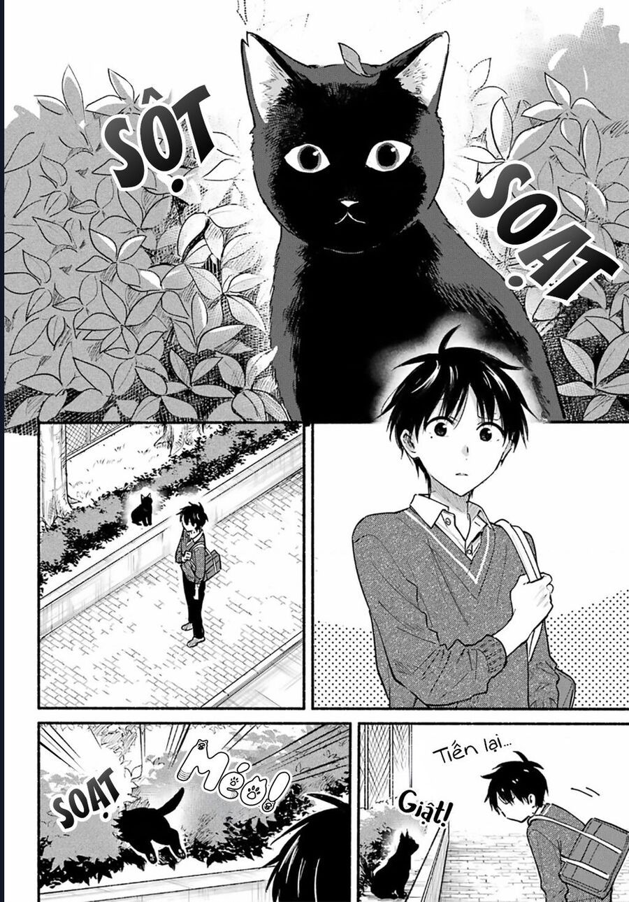 Cô nàng mèo ngủ gật và Chàng trai hướng nội Chapter 31 - TC Truyện