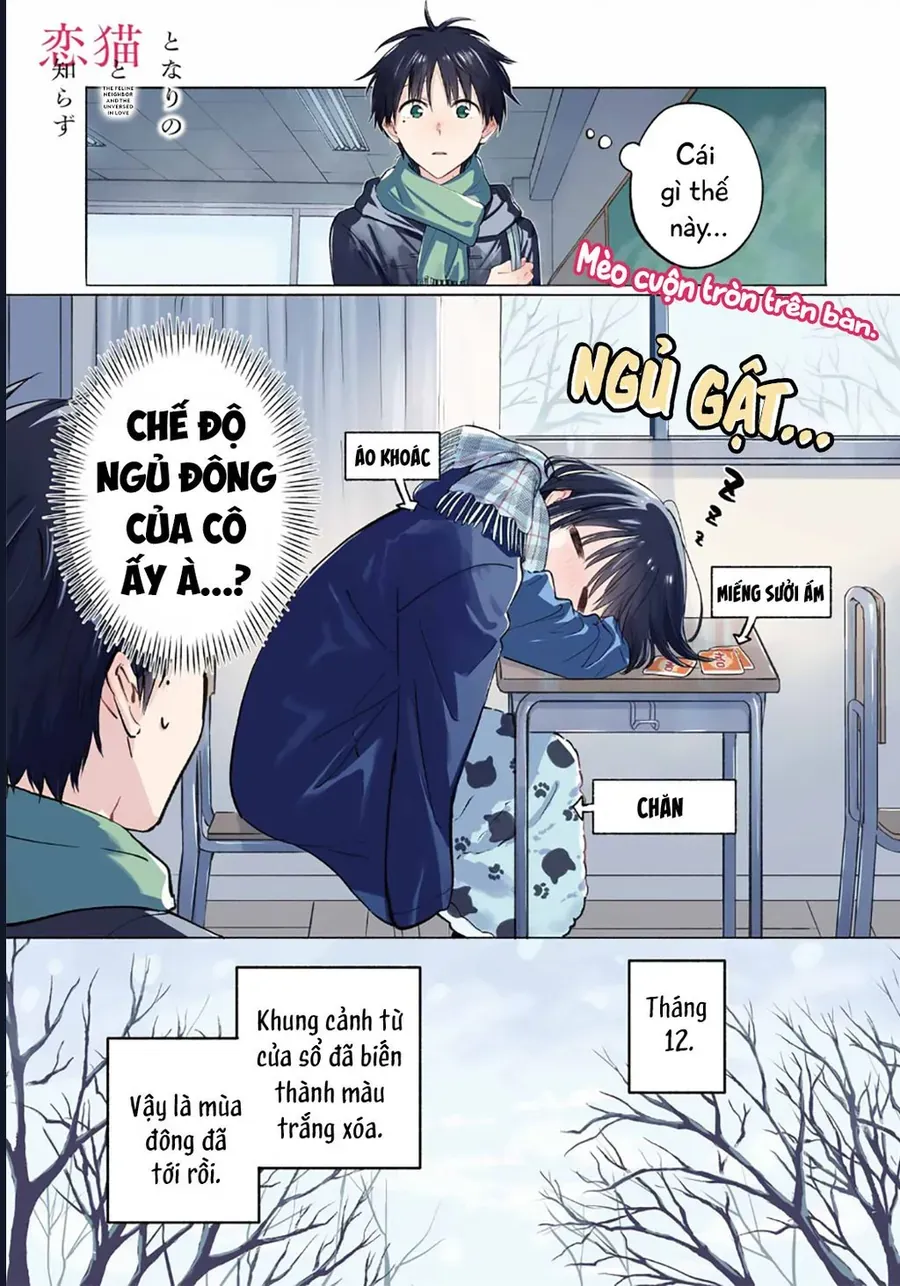 Cô nàng mèo ngủ gật và Chàng trai hướng nội Chapter 32 - TC Truyện