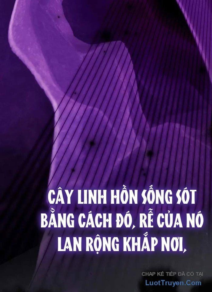 Pháp Sư Thiên Tài Phá Vỡ Giới Hạn Chapter 38 - TC Truyện