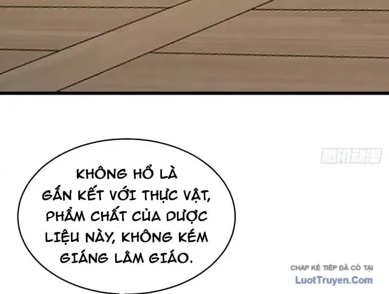 Người Khác Luyện Cấp Ta Tu Tiên, Tới Đại Thừa Kỳ Thì Rời Núi 28