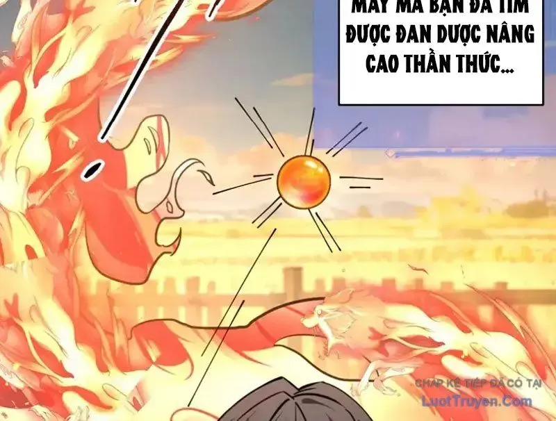 Người Khác Luyện Cấp Ta Tu Tiên, Tới Đại Thừa Kỳ Thì Rời Núi 28