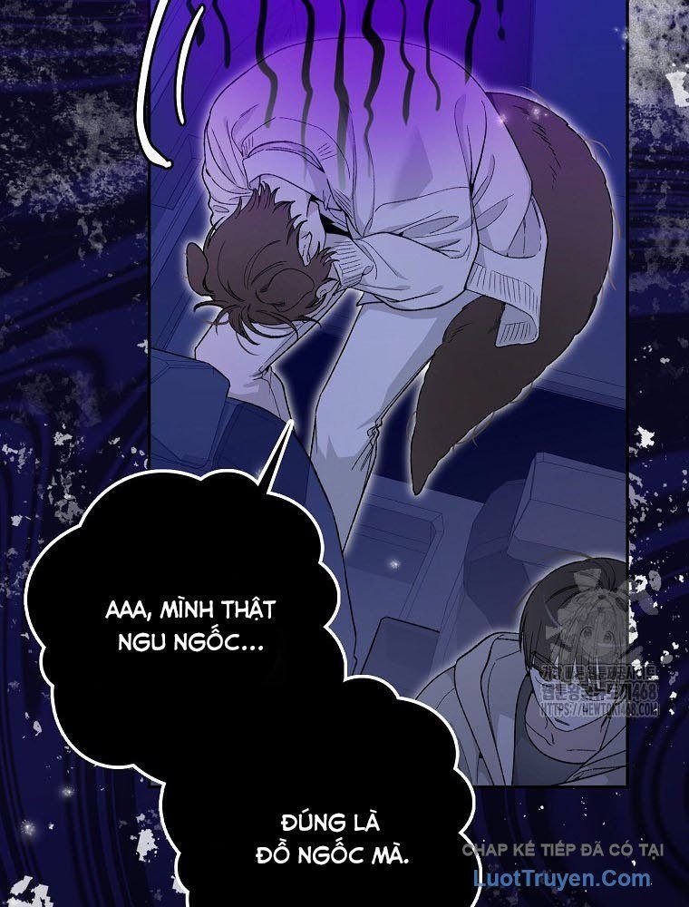 Tân Binh Triệu Đô Chap 56 - Next Chap 52