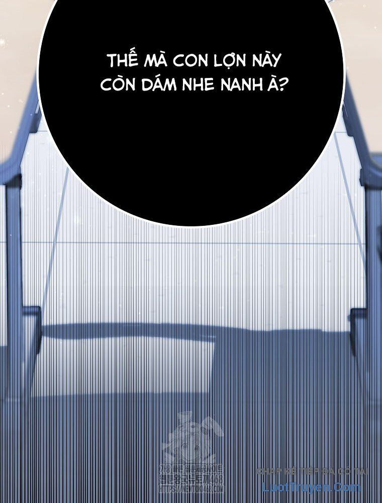 Tân Binh Triệu Đô Chap 57 - Next Chap 56