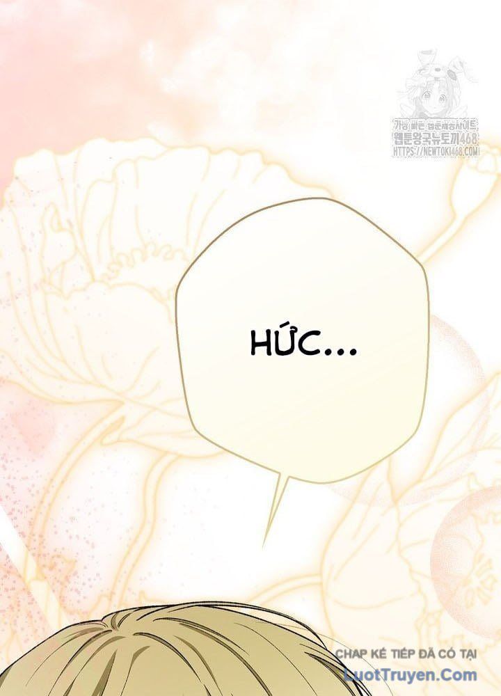 Tân Binh Triệu Đô Chap 61 - Next Chap 60