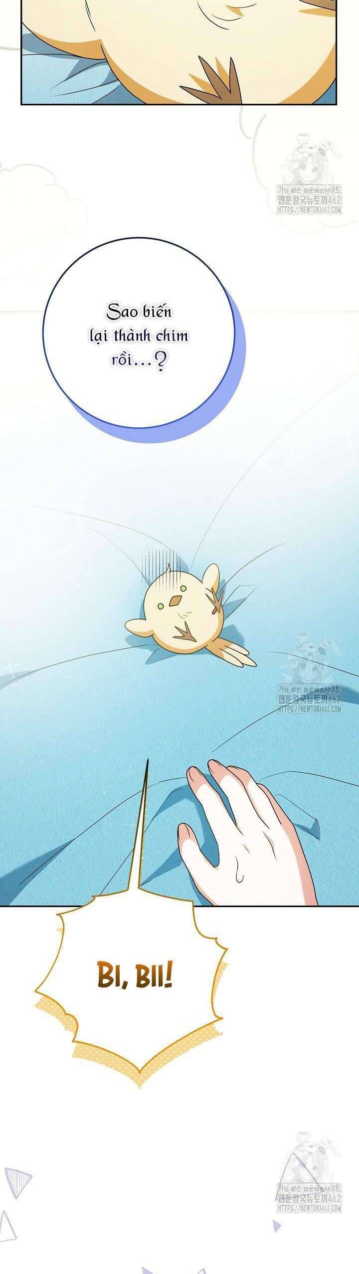Nàng Chim Được Dinh Thự Sói Yêu Thương Chap 12 - Next Chap 11