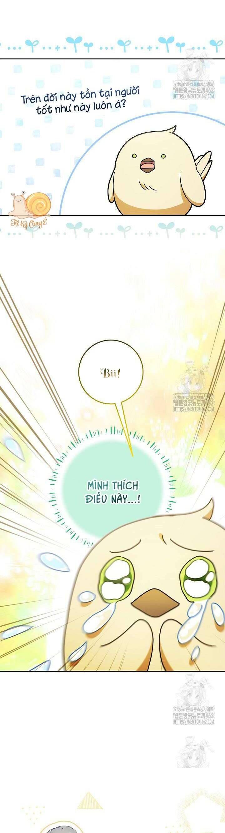 Nàng Chim Được Dinh Thự Sói Yêu Thương Chap 13 - Next Chap 12