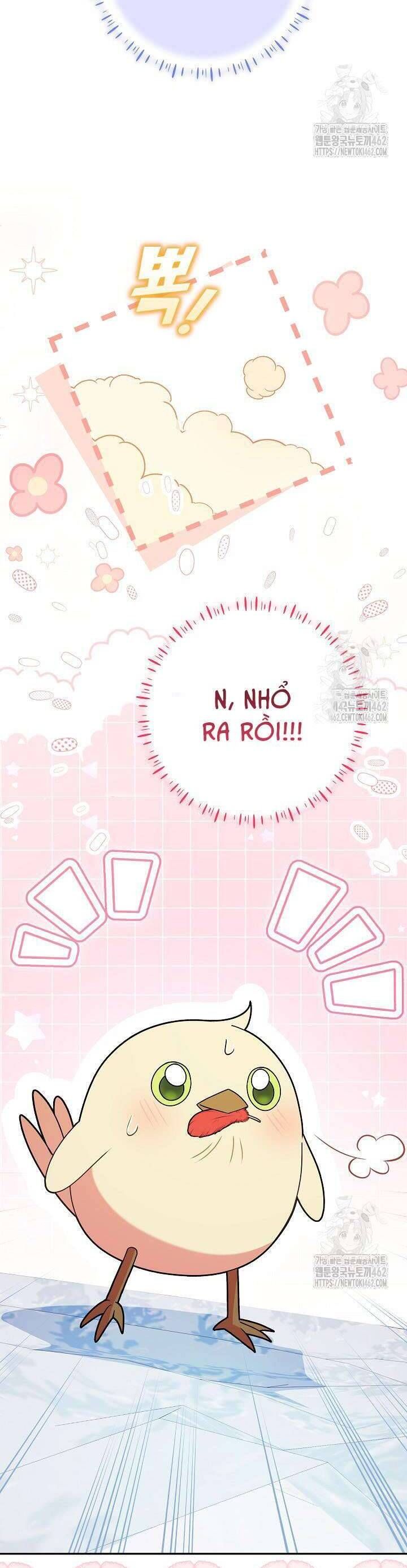 Nàng Chim Được Dinh Thự Sói Yêu Thương Chap 14 - Next Chap 13