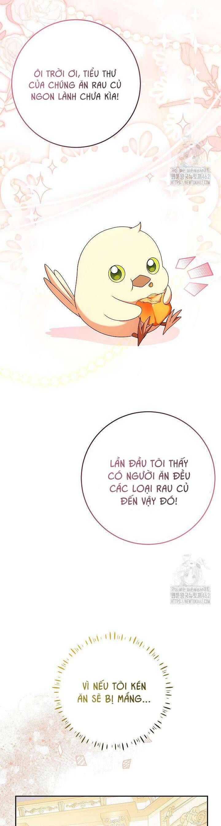 Nàng Chim Được Dinh Thự Sói Yêu Thương Chap 15 - Next Chap 14