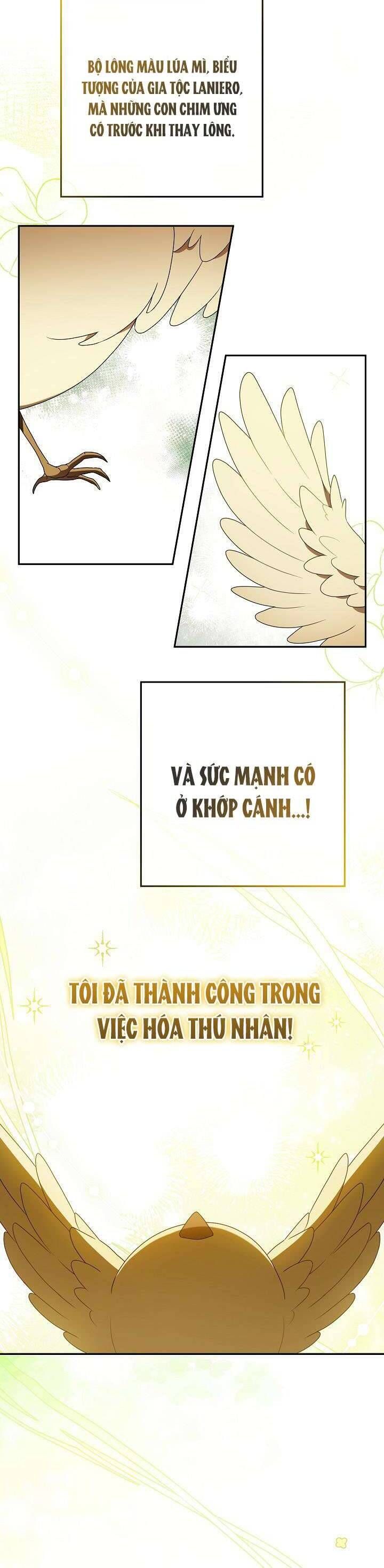 Nàng Chim Được Dinh Thự Sói Yêu Thương Chap 4 - Next Chap 3