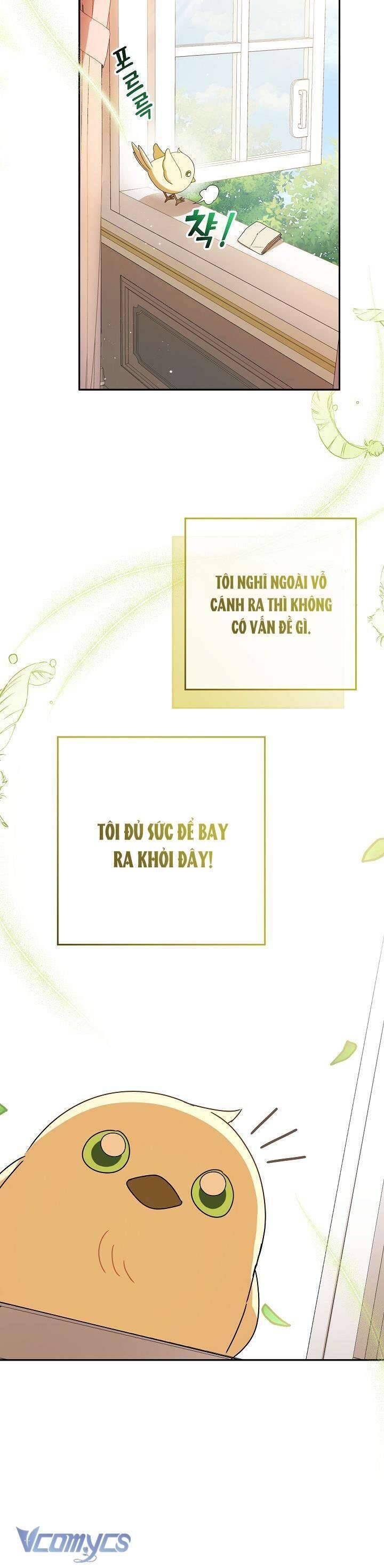 Nàng Chim Được Dinh Thự Sói Yêu Thương Chap 4 - Next Chap 3