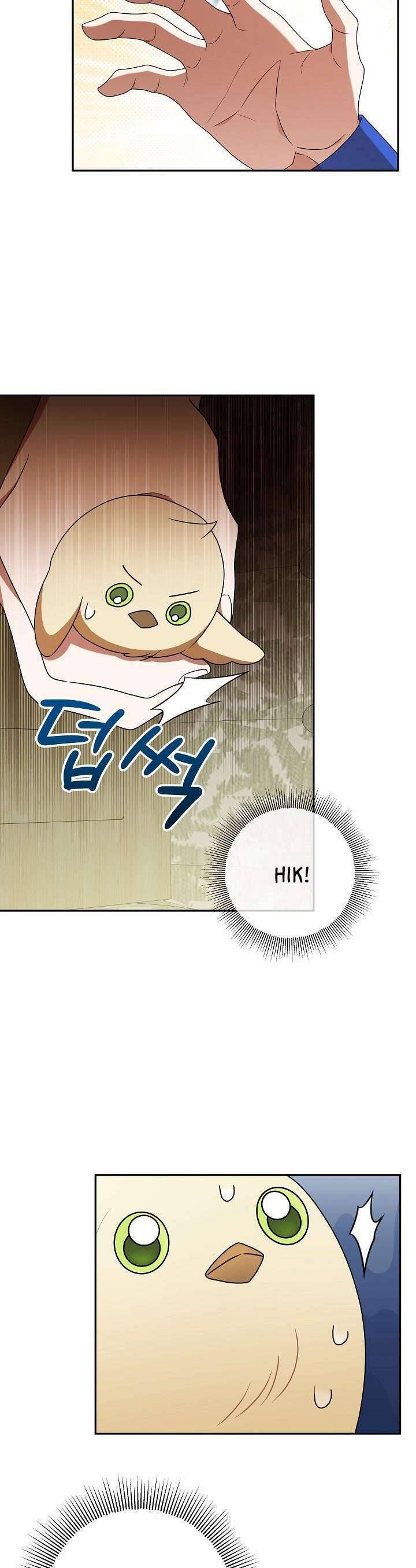 Nàng Chim Được Dinh Thự Sói Yêu Thương Chap 5 - Next Chap 4