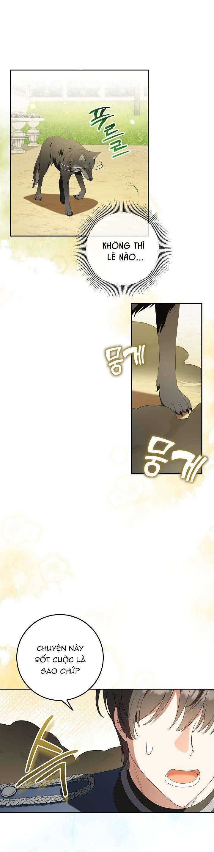 Nàng Chim Được Dinh Thự Sói Yêu Thương Chap 6 - Next Chap 5