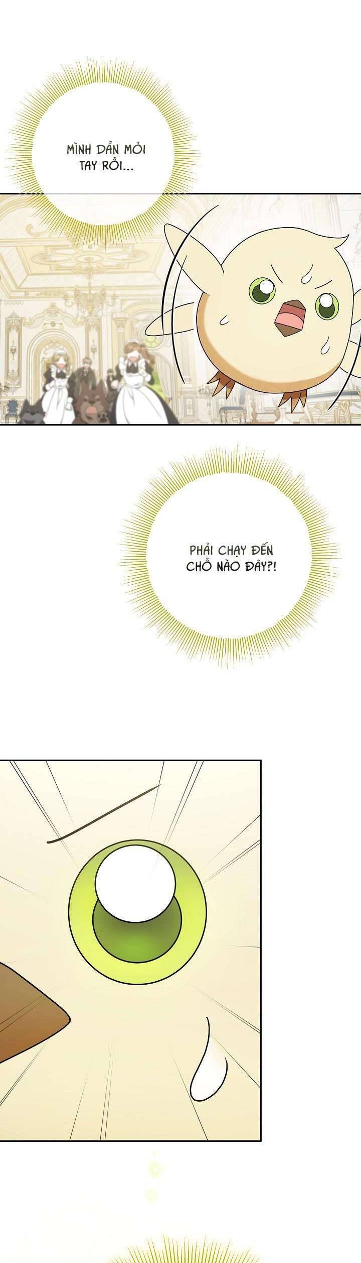 Nàng Chim Được Dinh Thự Sói Yêu Thương Chap 8 - Next Chap 7