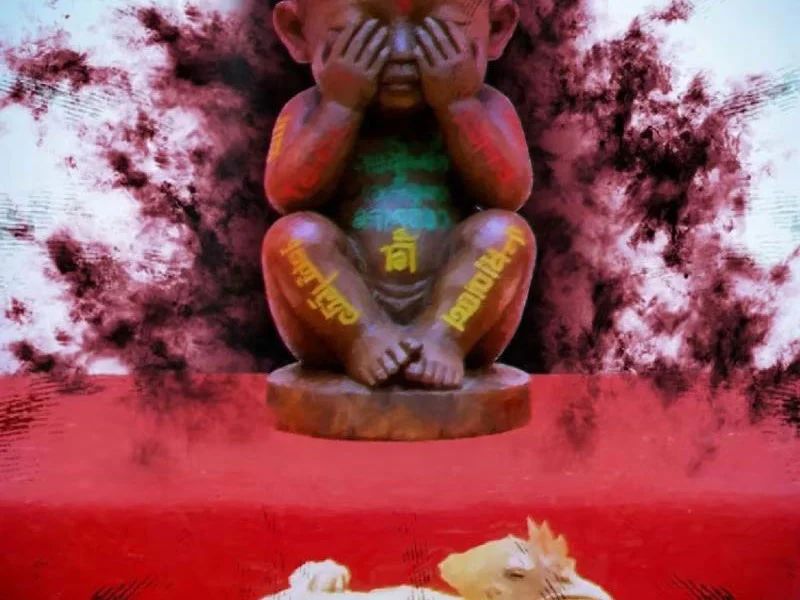 Chapter 264 - Image 14