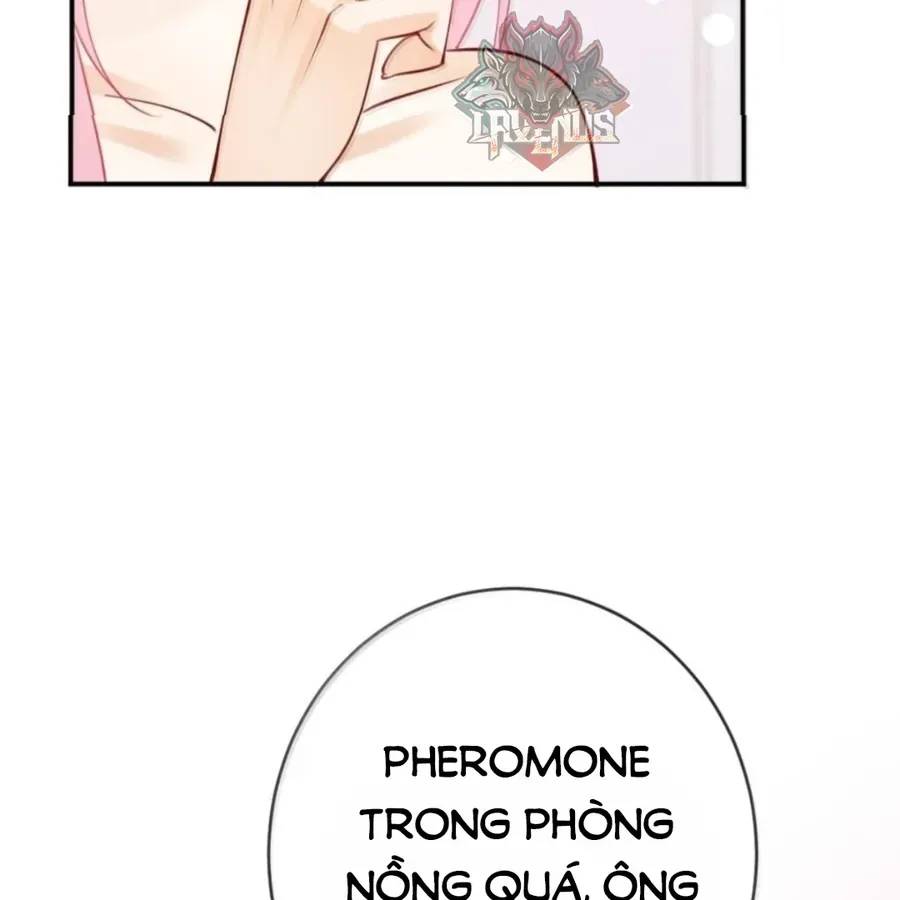 Nữ Chính Hắc Nguyệt Quang Luôn Muốn Đánh Dấu Tôi Chap 42 - Next Chap 41