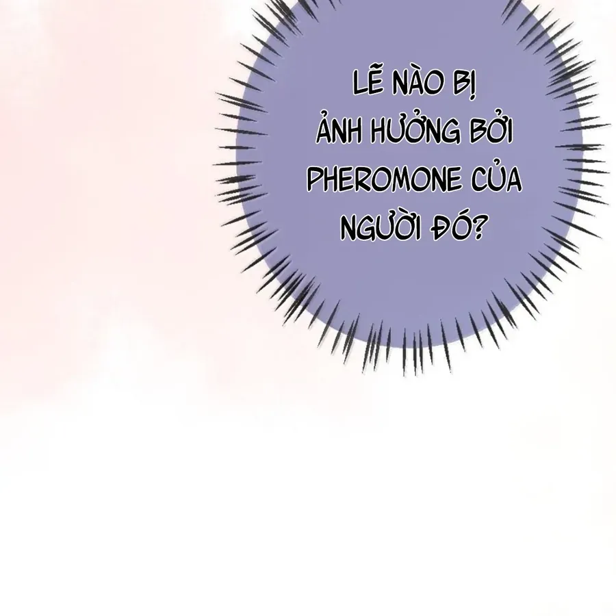 Nữ Chính Hắc Nguyệt Quang Luôn Muốn Đánh Dấu Tôi Chap 42 - Next Chap 41