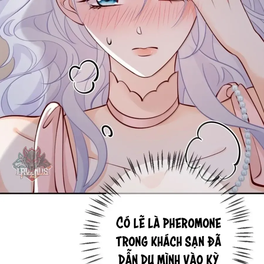 Nữ Chính Hắc Nguyệt Quang Luôn Muốn Đánh Dấu Tôi Chap 42 - Next Chap 41
