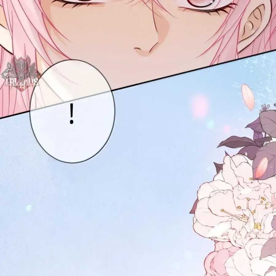 Nữ Chính Hắc Nguyệt Quang Luôn Muốn Đánh Dấu Tôi Chap 42 - Next Chap 41