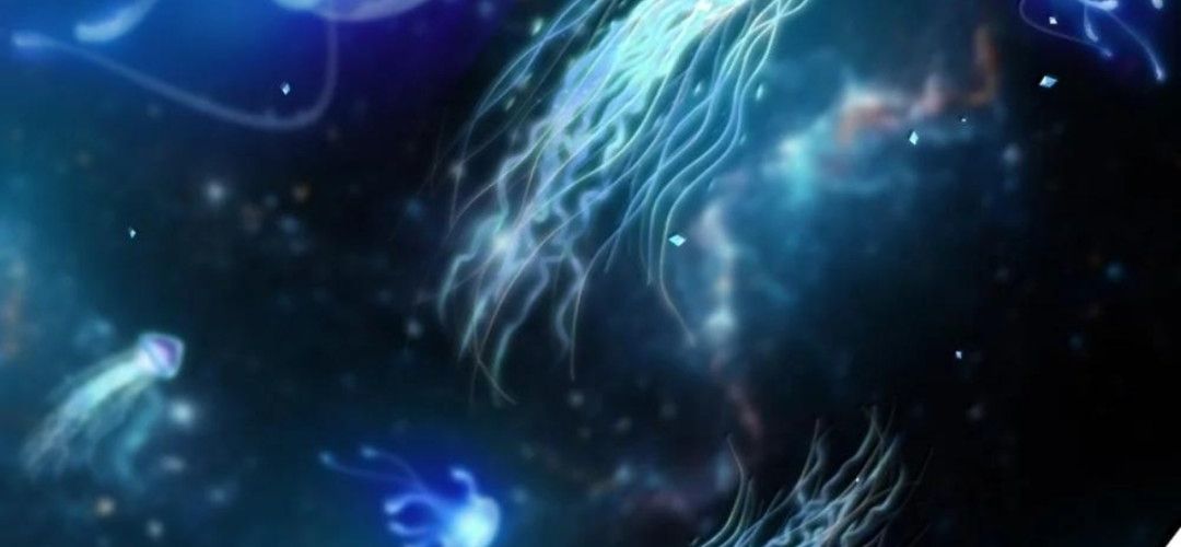 Vượt Cấp Xuyên Không Tại Sao Tôi Lại Trở Thành Tiểu Thư Tu Sĩ [Chap 64-65]