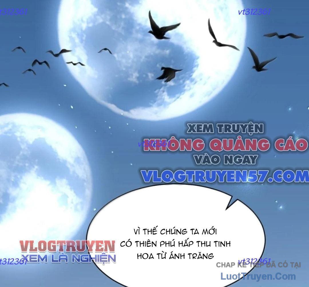 Vượt Cấp Xuyên Không Tại Sao Tôi Lại Trở Thành Tiểu Thư Tu Sĩ [Chap 64-65]