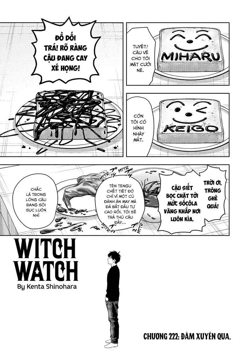 Kẻ Bảo Vệ Phù Thủy Là Một Orge Chap 222 - Next Chap 221