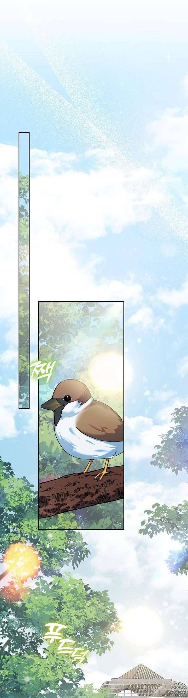 Tôi Đã Sẵn Sàng Cho Cuộc Ly Hôn Chương 16 - Trang 19