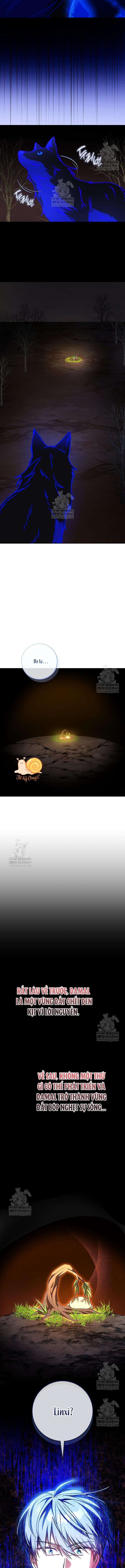 Nàng Chim Được Dinh Thự Sói Yêu Thương Chương 66 - Trang 8