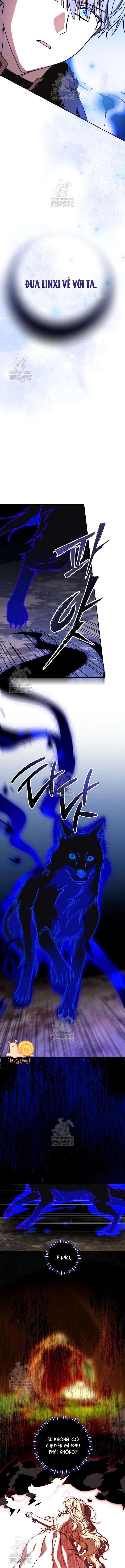 Nàng Chim Được Dinh Thự Sói Yêu Thương Chương 66 - Trang 10