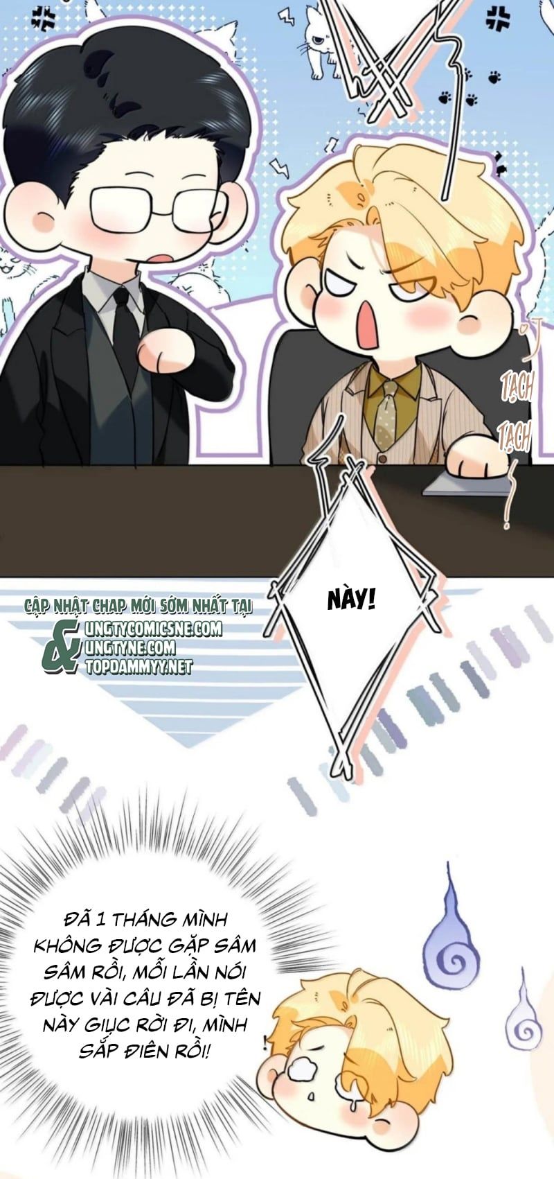 Từ Số Không Bắt Đầu Làm Bạn Trai Chương 78 - Trang 43