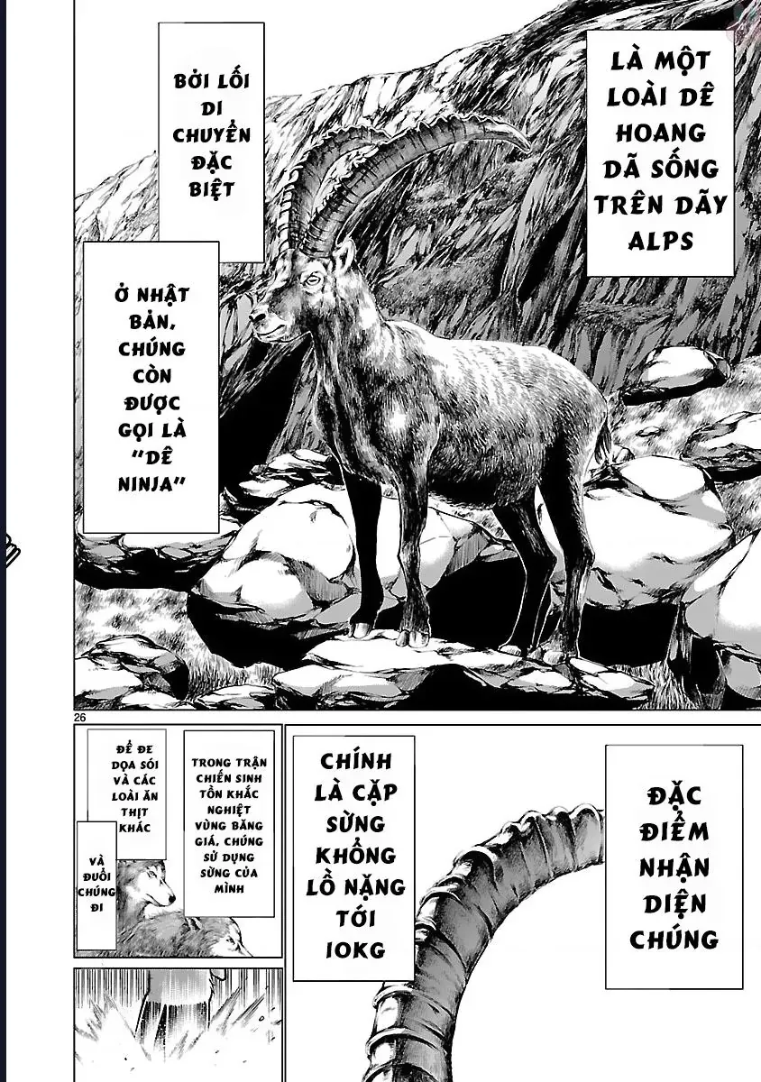 Trang 24 - Killing Bites