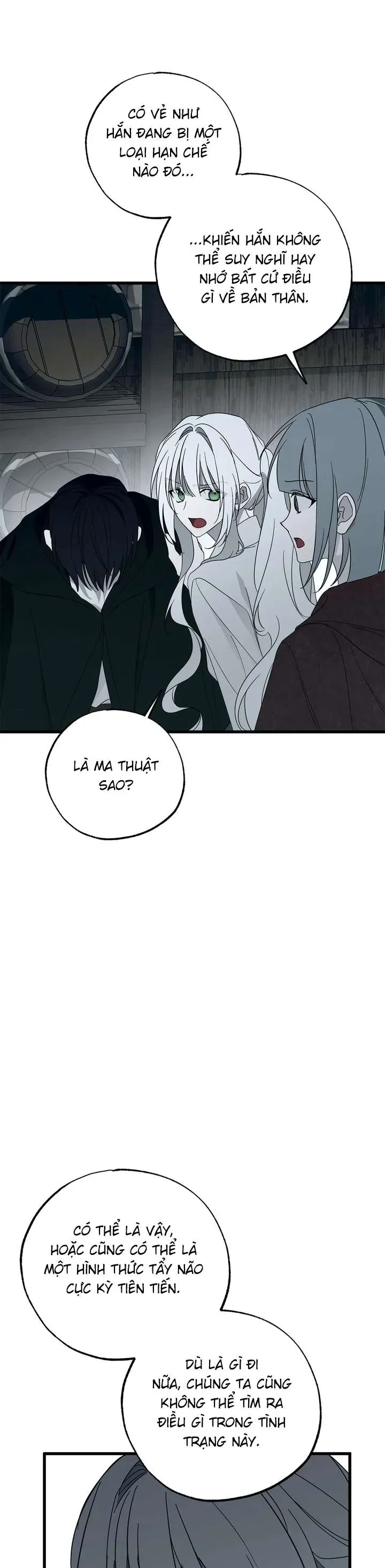 Vị Phu Quân Căm Ghét Tôi Đã Mất Trí Nhớ Chương 86 - Trang 29