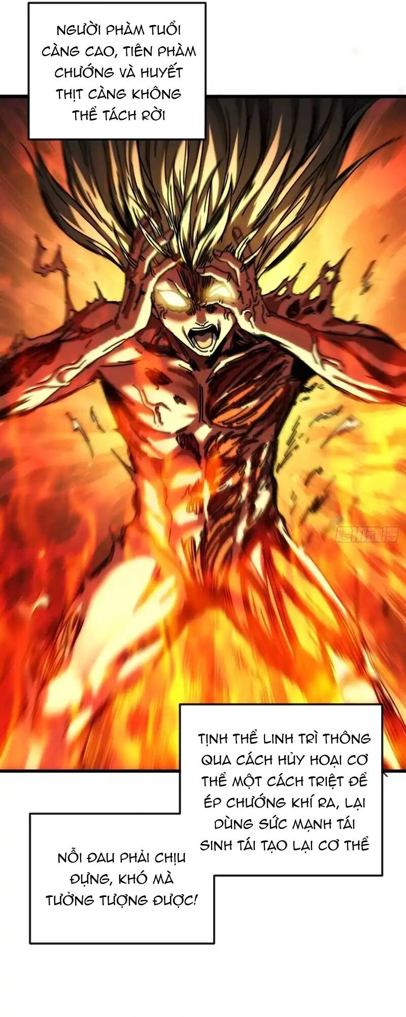 Ta Mô Phỏng Trường Sinh Lộ [Chap 22]